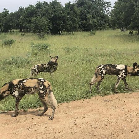 Marula Lodge Mfuwe Экстерьер фото